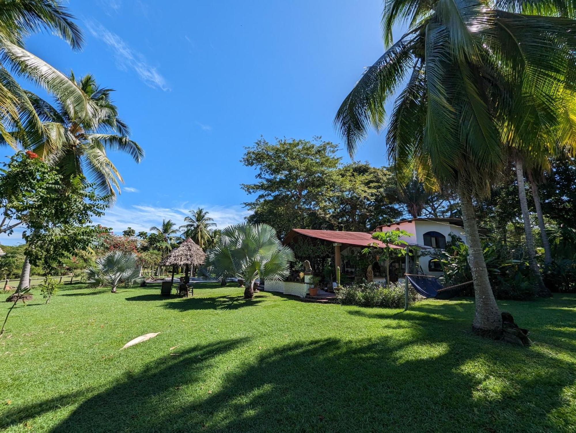 Spirit Of Jungle Lodge Sámara Exterior foto